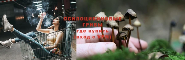 Альфа ПВП Тында